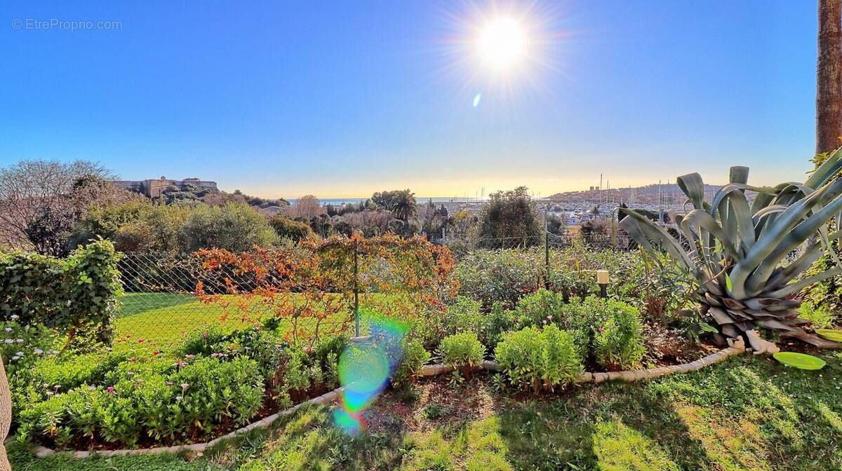 Vue imprenable depuis le jardin - Appartement à ANTIBES