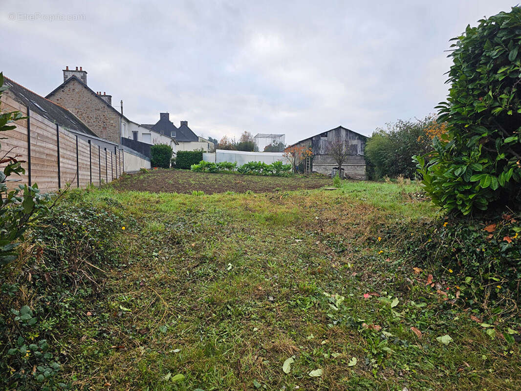 Terrain à LANGUEUX