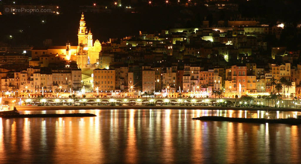 Commerce à MENTON
