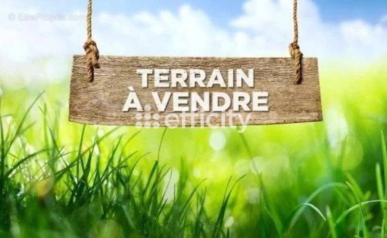 Terrain à PUGNAC