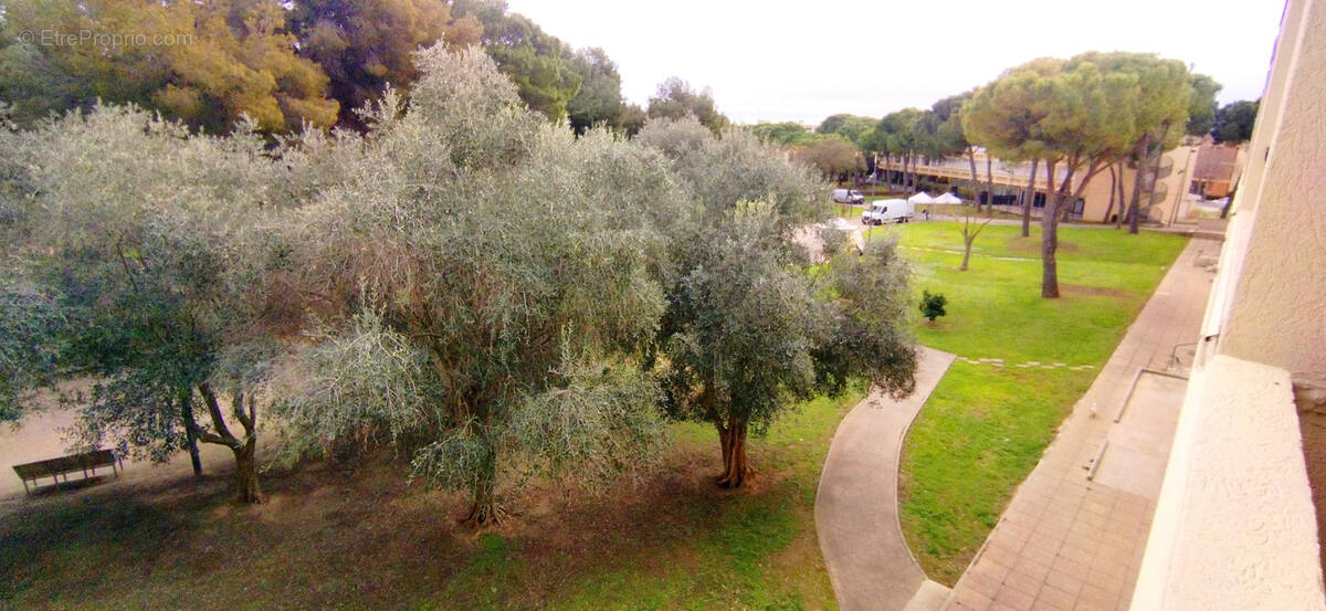Appartement à BALARUC-LES-BAINS