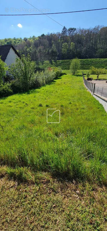 Terrain à BRIVE-LA-GAILLARDE