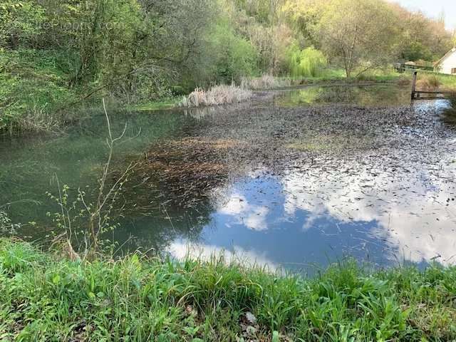 Terrain à ARGENTON-SUR-CREUSE