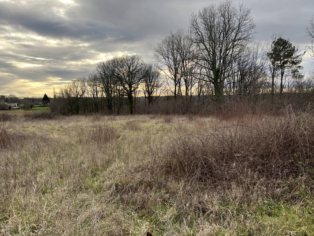 Terrain à PLAZAC