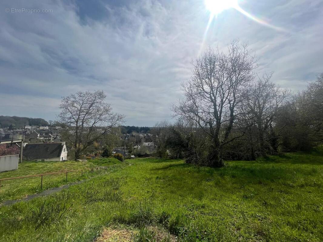 Photo 1 - Terrain à GUEMENE-SUR-SCORFF