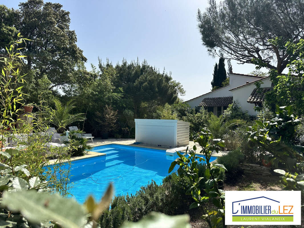 Vue piscine de la chambre du Studio - Maison à CANET