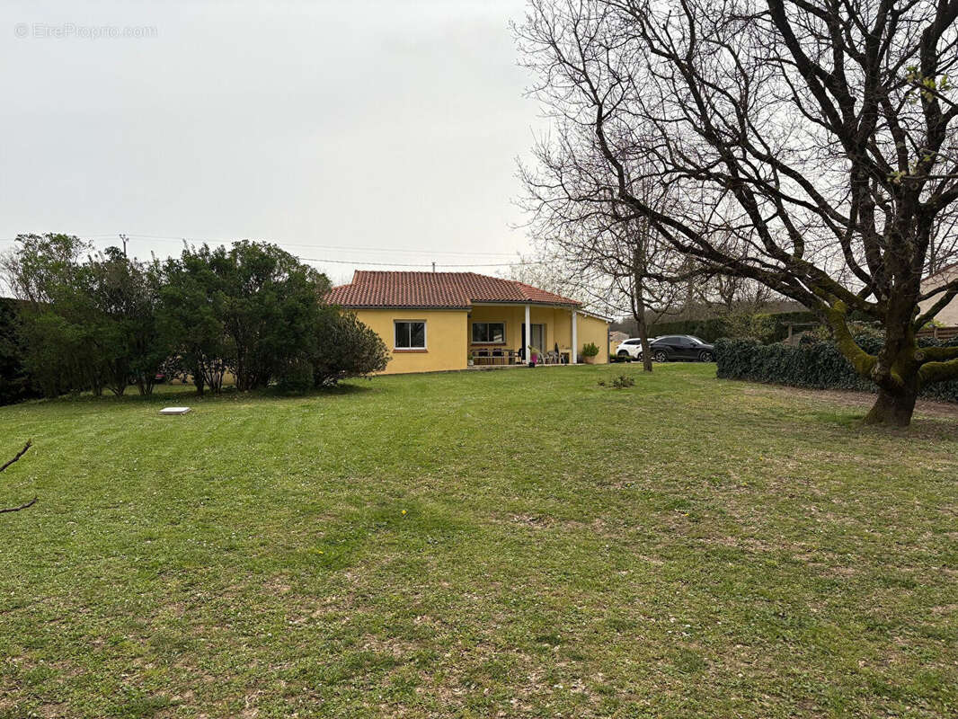 Maison à FRONTON