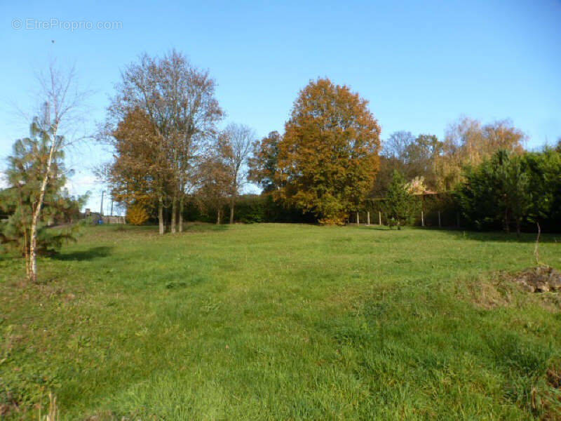 Photo 1 - Terrain à VILLENEUVE-SUR-BELLOT