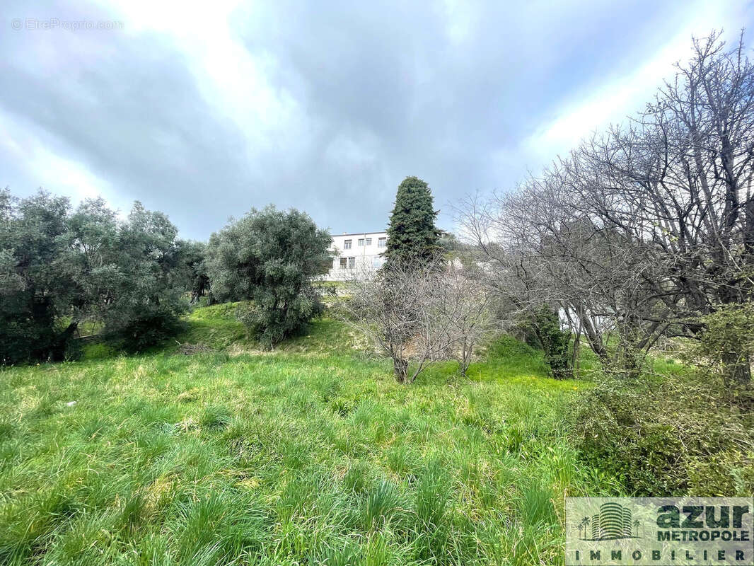 Terrain à NICE