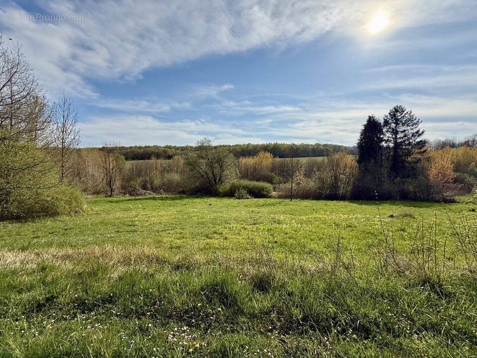 Terrain à DONNEMARIE-DONTILLY