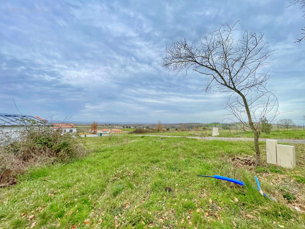 Terrain à GAILLAC