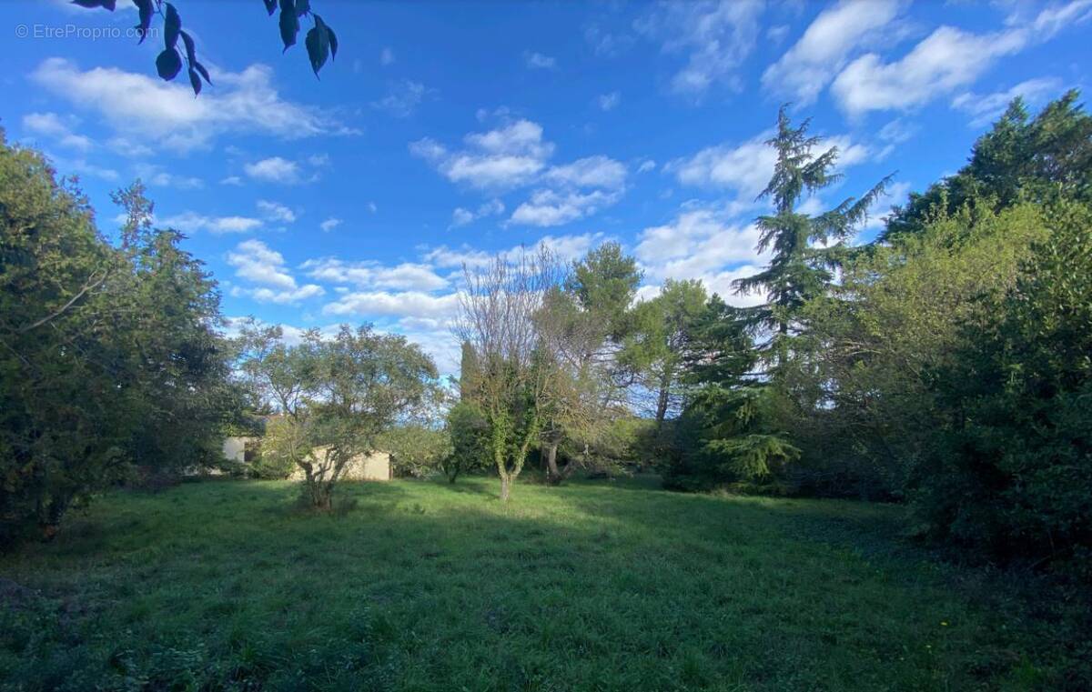 Terrain à SAINT-LAURENT-DES-ARBRES