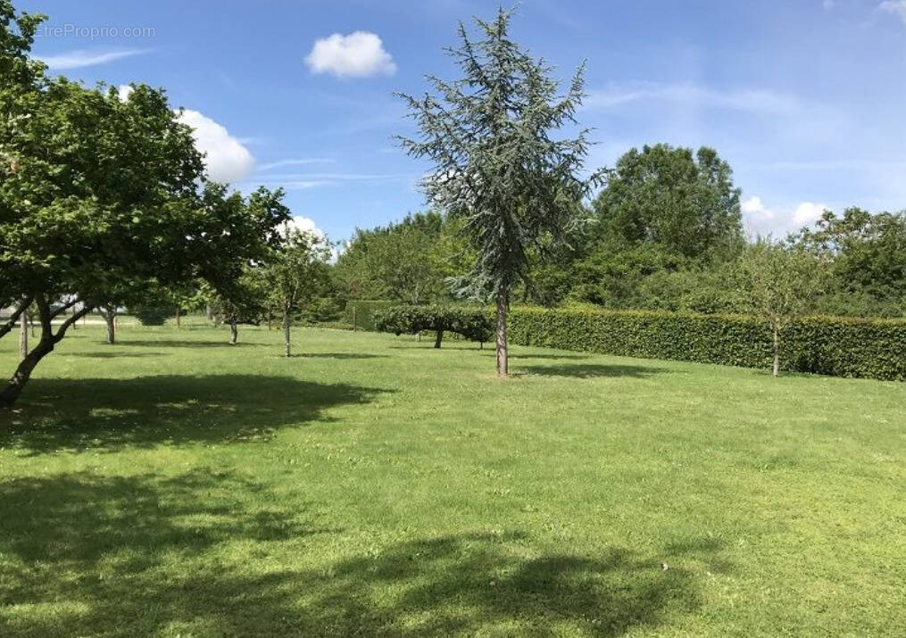 Terrain à LA QUEUE-LES-YVELINES