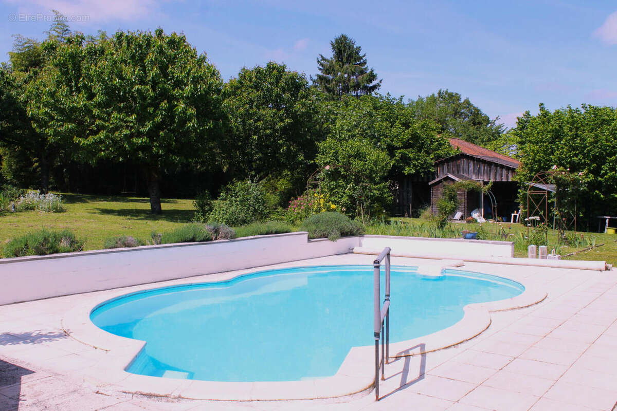 piscine - Maison à AUBETERRE-SUR-DRONNE