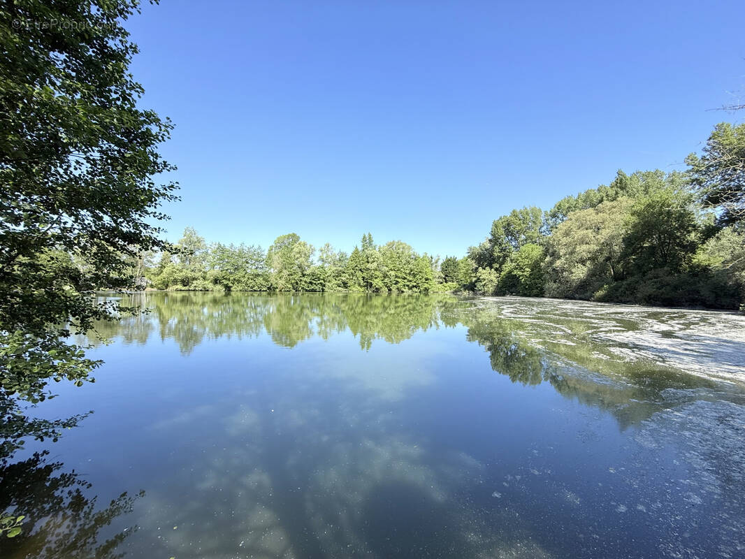 Terrain à FOECY