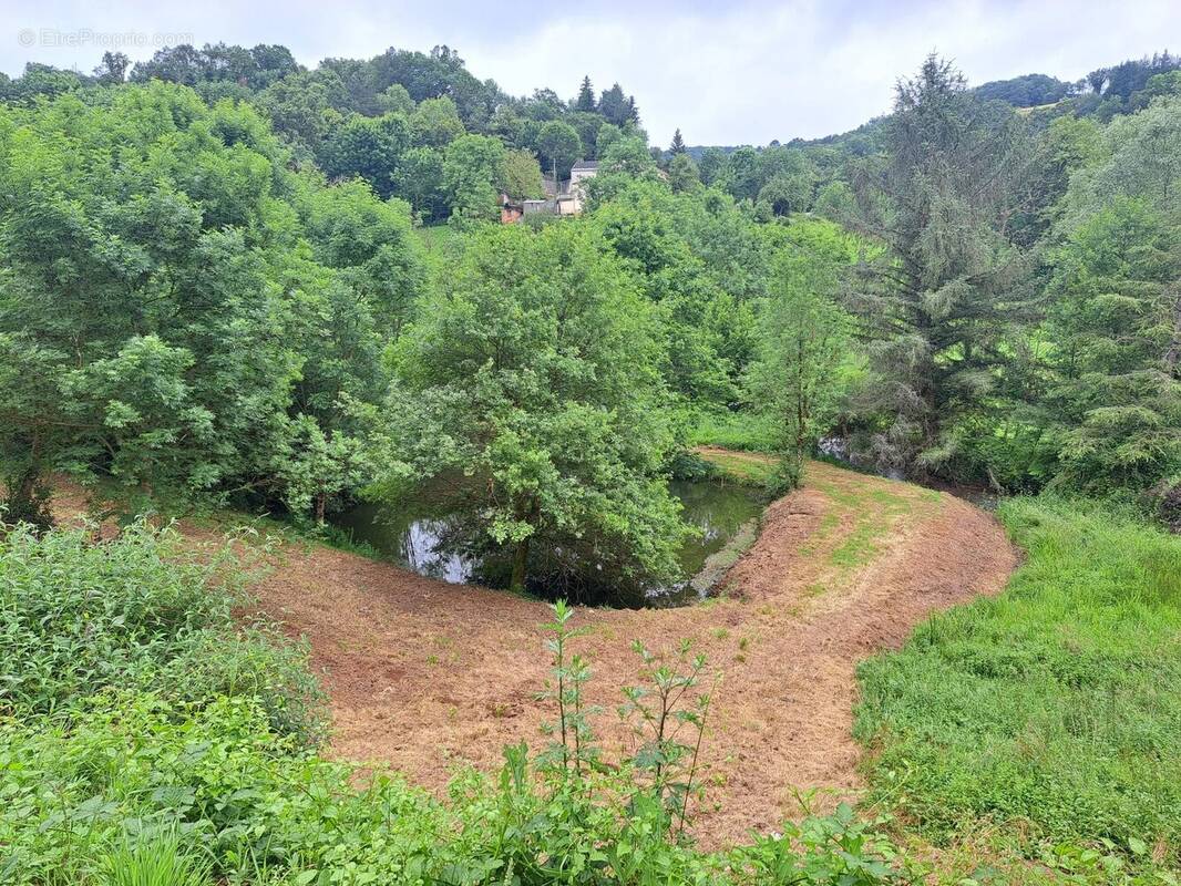 Terrain à MONTREDON-LABESSONNIE