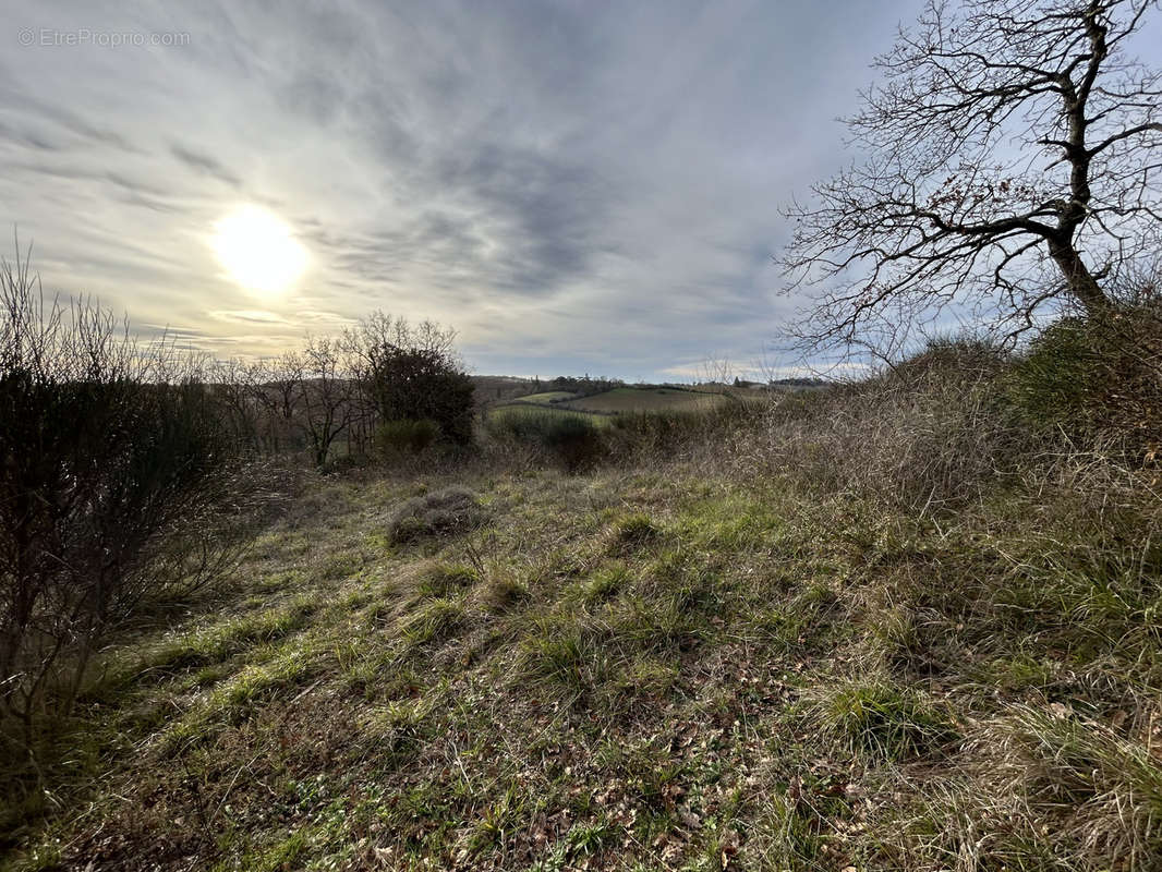 Terrain à AUCH