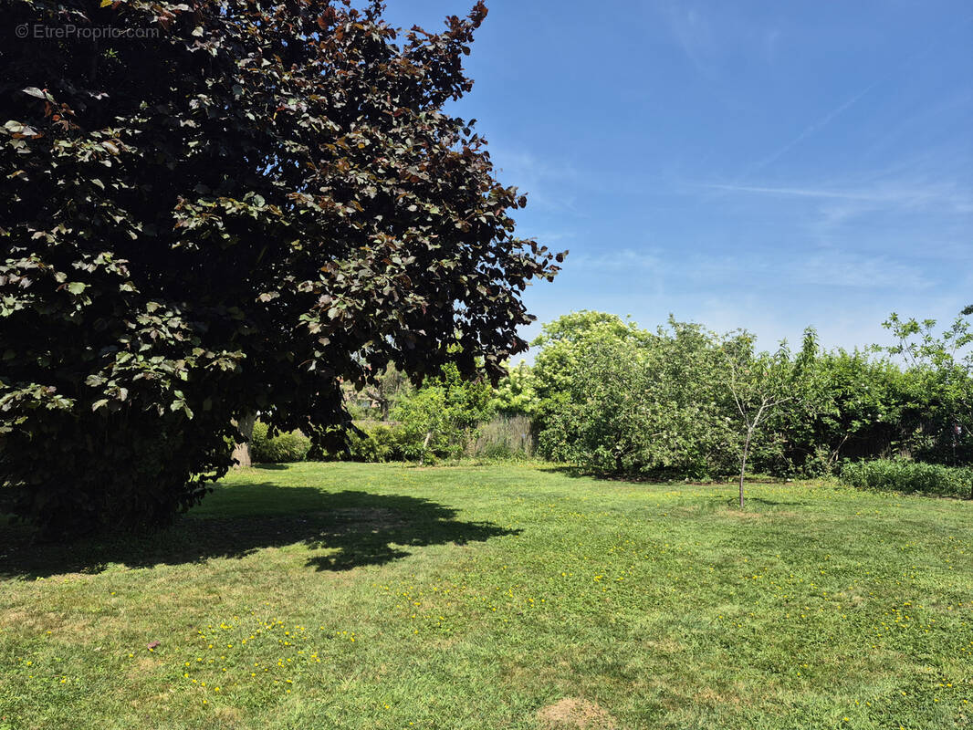 Terrain à LAVENTIE