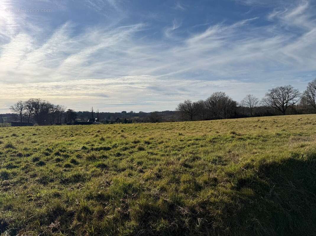 Terrain à FOSSEMAGNE