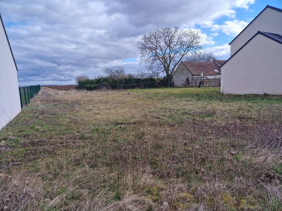 Terrain à MAISSE