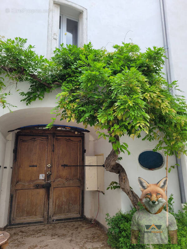 Maison à ILLE-SUR-TET