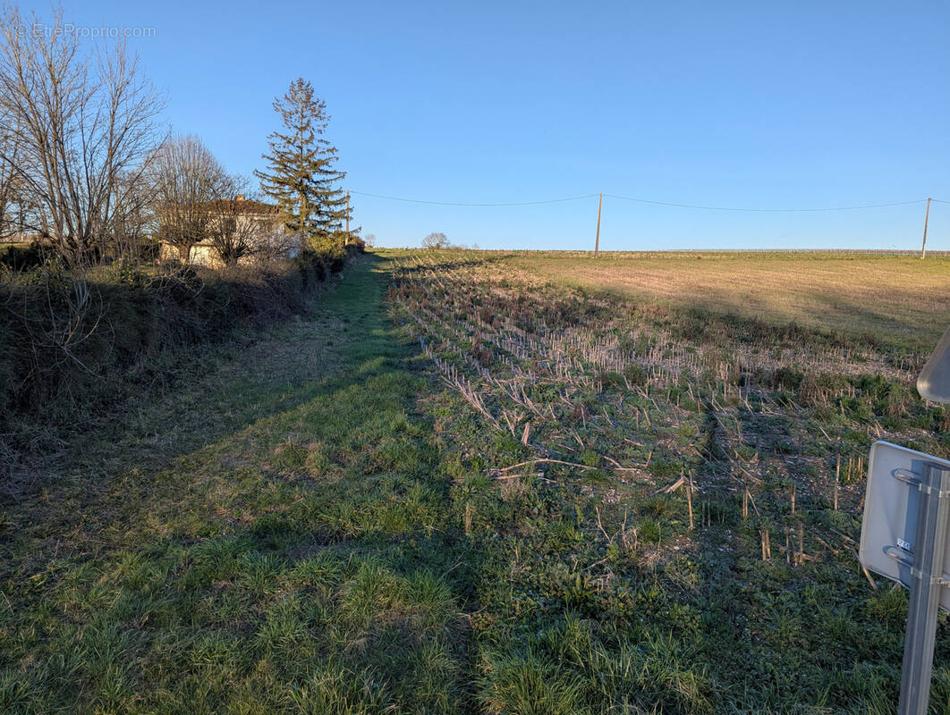 Terrain à DOMPIERRE-SUR-CHARENTE