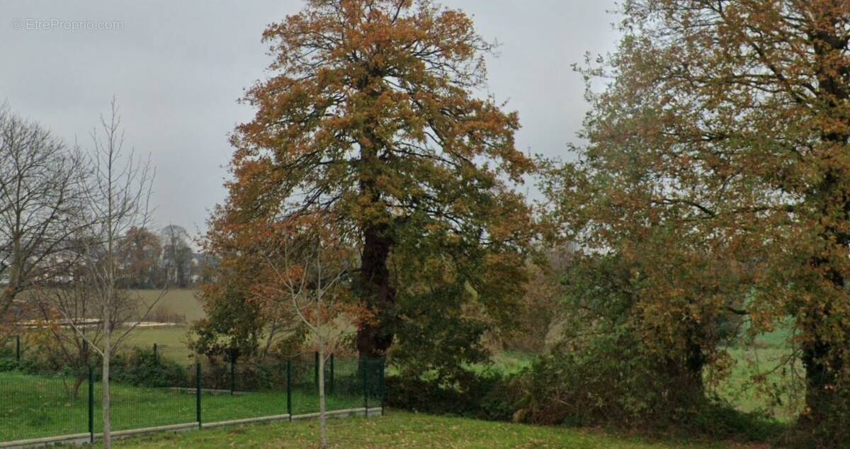 Terrain à COMBOURG