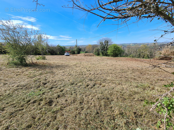 Terrain à ARZACQ-ARRAZIGUET