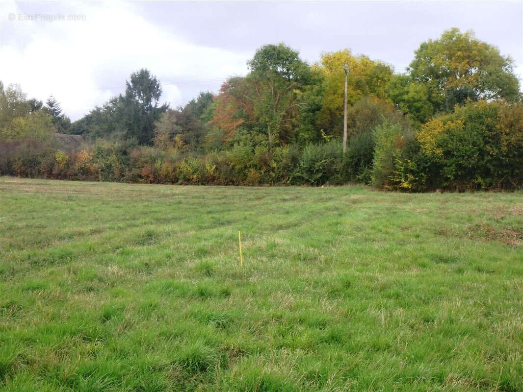 Terrain à SOREL-MOUSSEL
