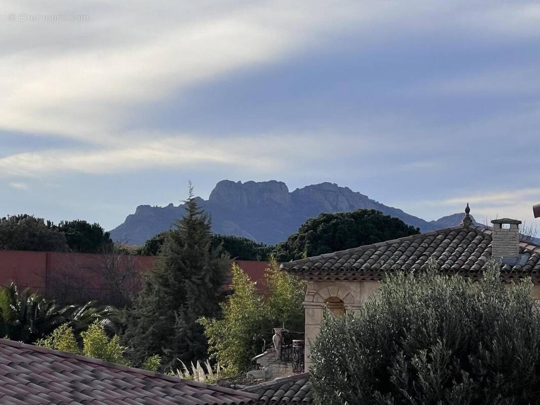 Photo 1 - Appartement à PUGET-SUR-ARGENS