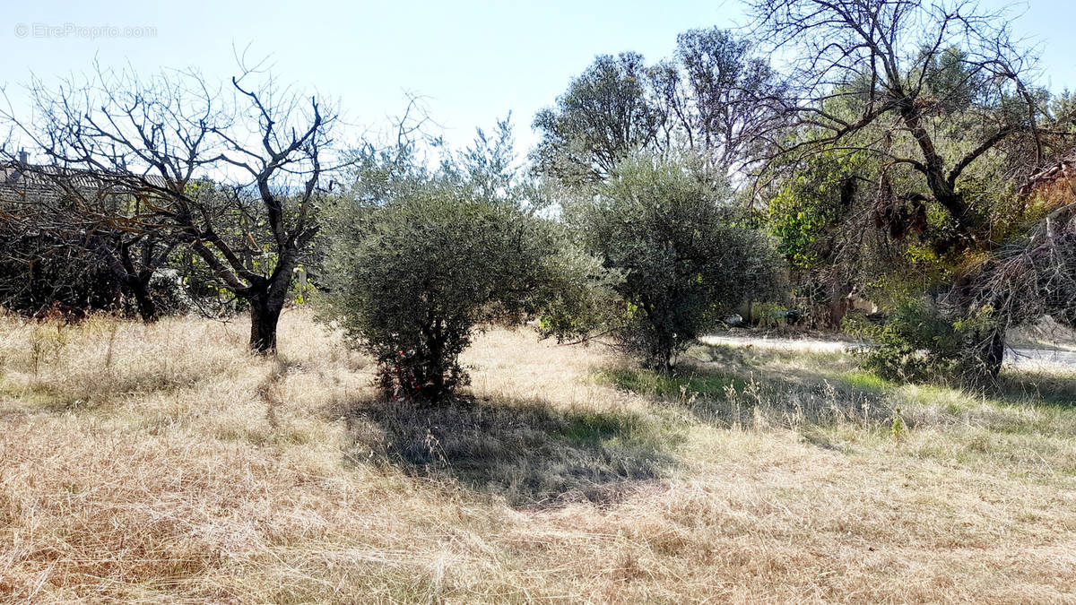 Terrain à CABRIERES-D&#039;AVIGNON
