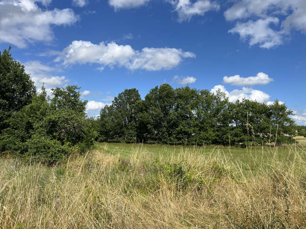 Terrain à MONTAUBAN
