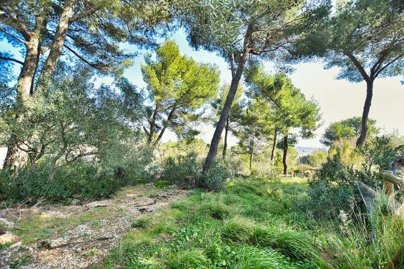 Terrain à CLERMONT-L&#039;HERAULT