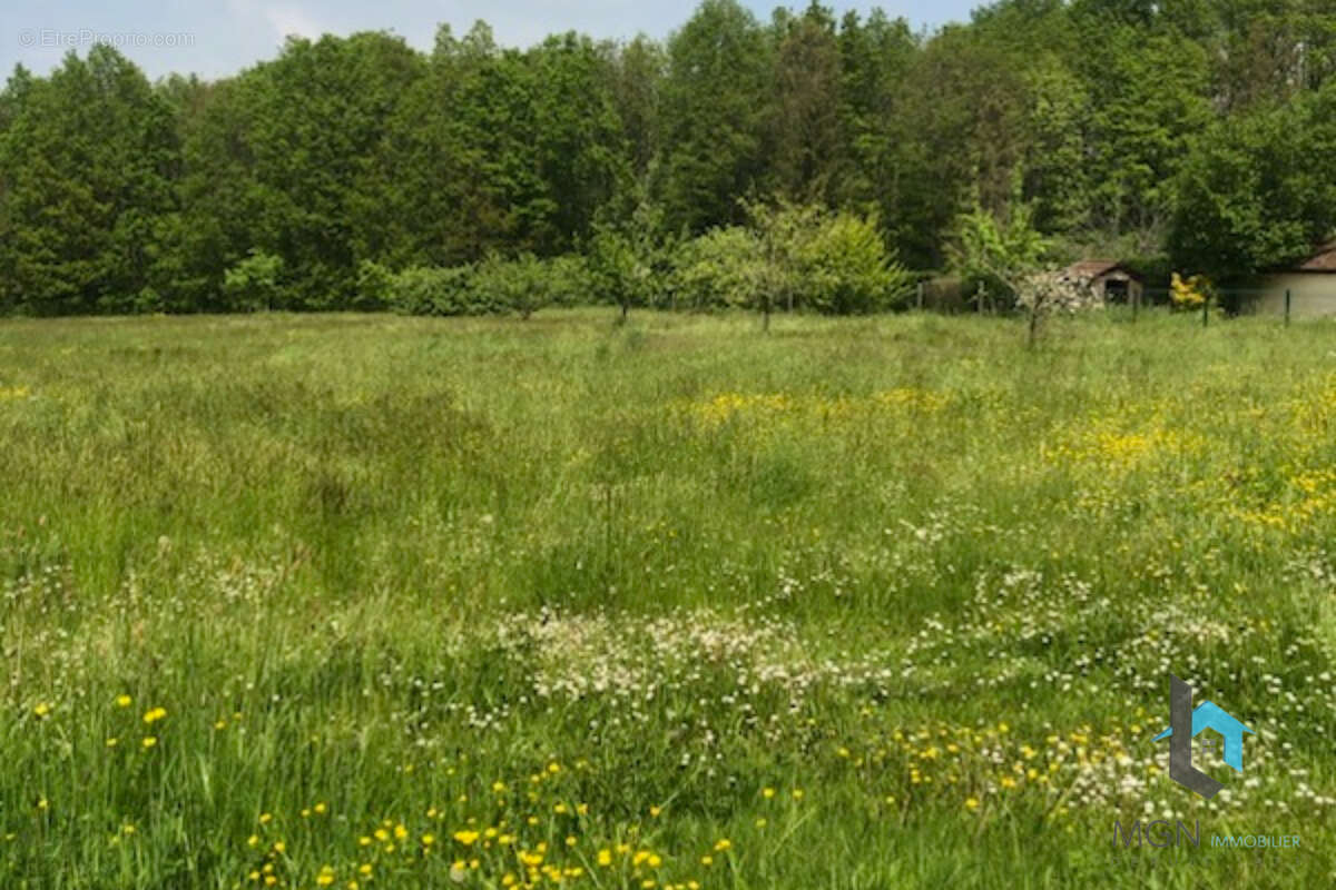 Terrain à CHATEAUNEUF-EN-THYMERAIS