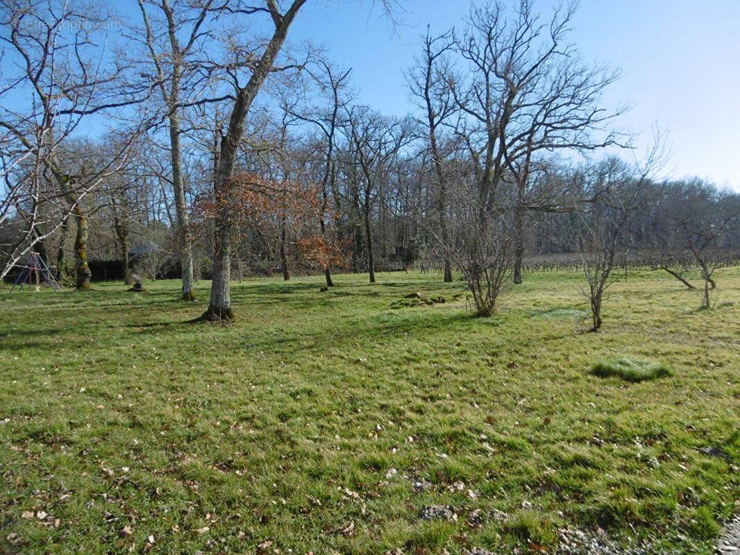 Terrain à LANGON