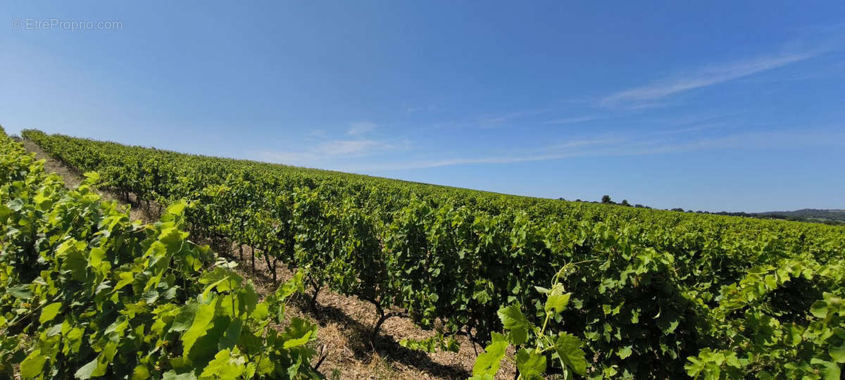 Terrain à VISAN