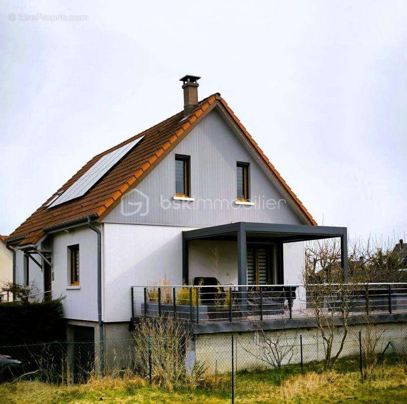Maison à RIBEAUVILLE
