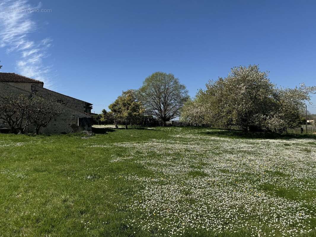 Maison à SEGONZAC
