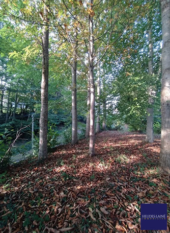 Terrain à PARIGNY