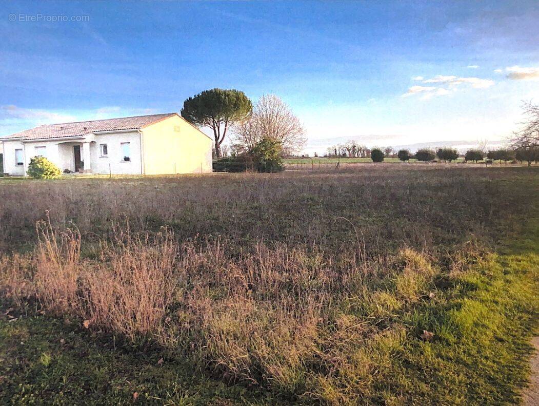 Terrain à CHAMPNIERS