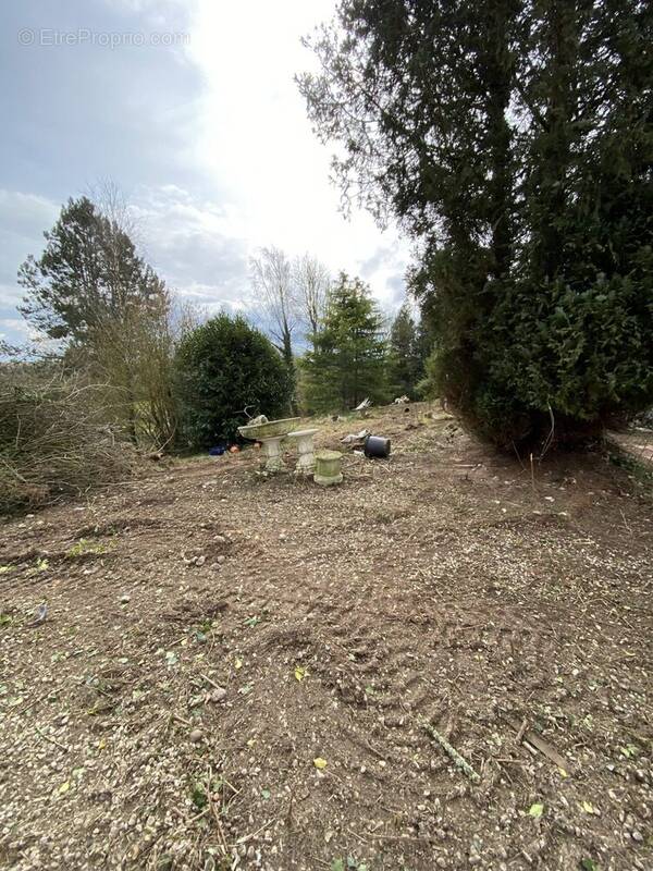 Terrain à BREXENT-ENOCQ