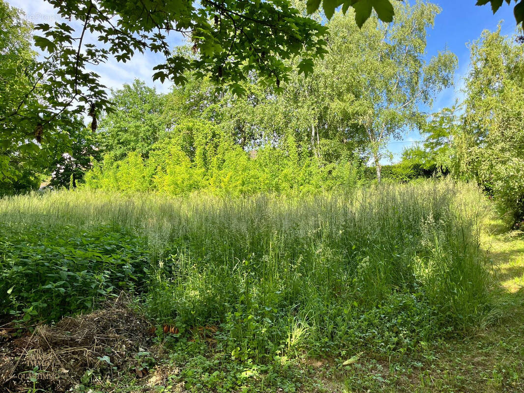 Terrain à WINGERSHEIM
