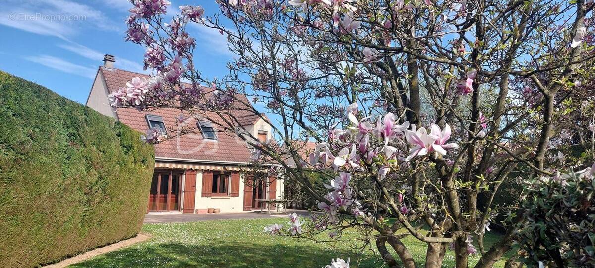 Maison à WISSOUS
