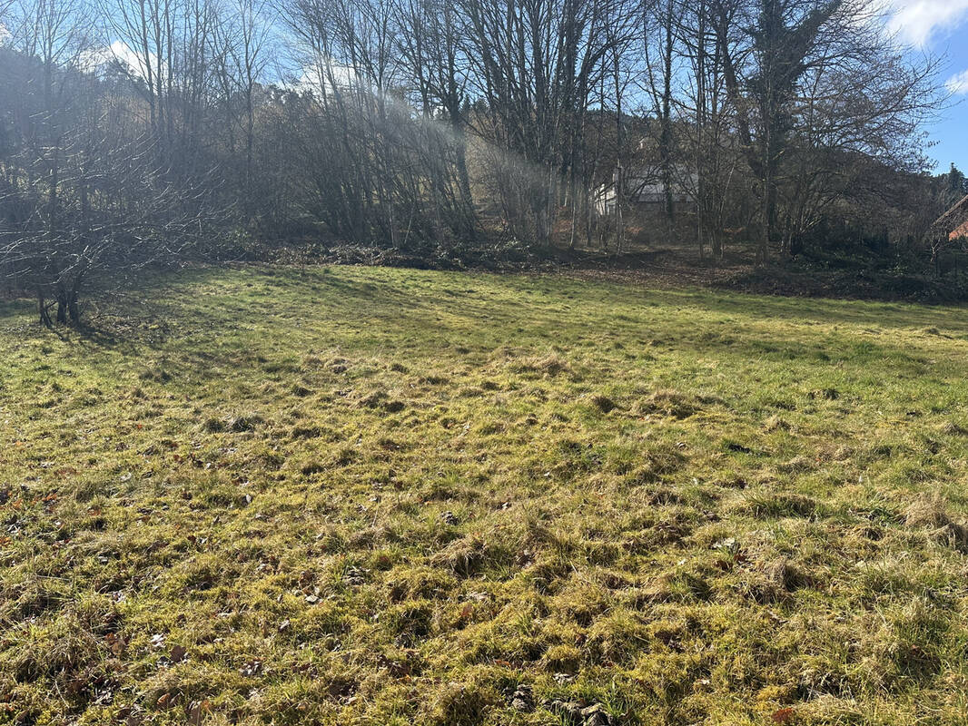 Terrain à DOMMARTIN-LES-REMIREMONT