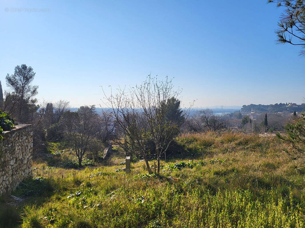 Terrain à VILLENEUVE-LES-AVIGNON