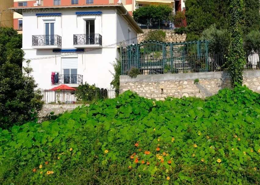 Maison à CAP-D&#039;AIL