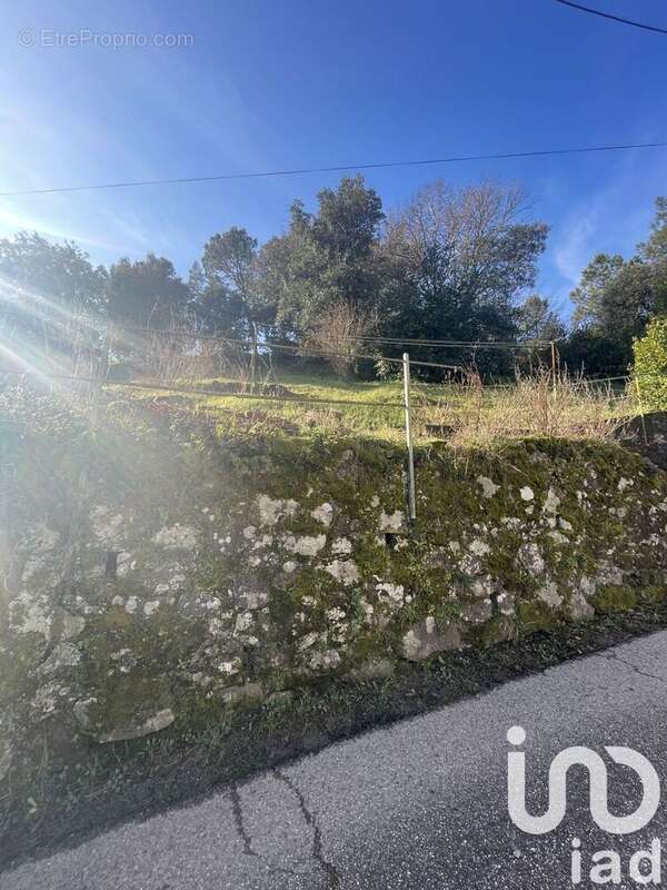 Photo 4 - Maison à LALEVADE-D&#039;ARDECHE