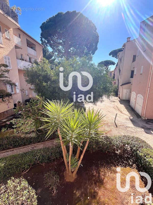 Photo 1 - Appartement à HYERES