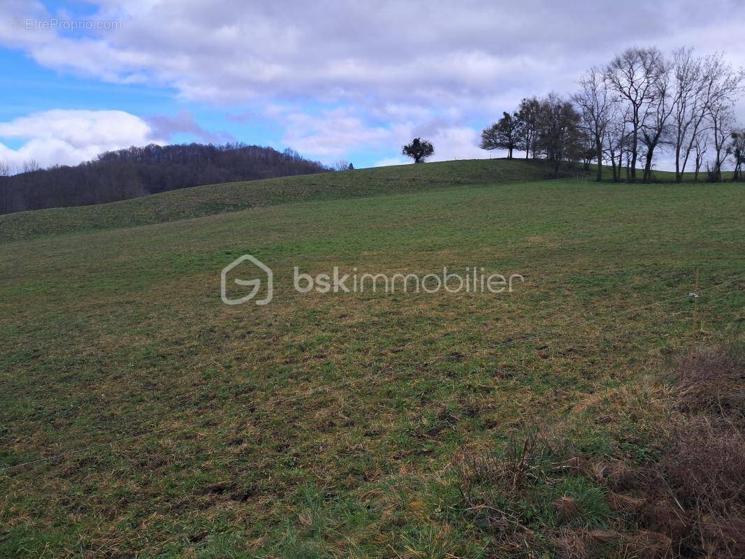 Terrain à LA BASTIDE-DE-SEROU