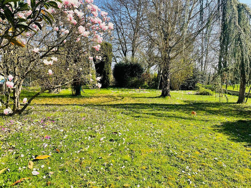 Terrain à NANTEUIL-LES-MEAUX
